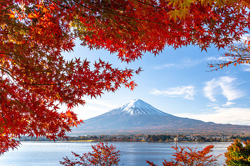 富士山と河口湖畔
