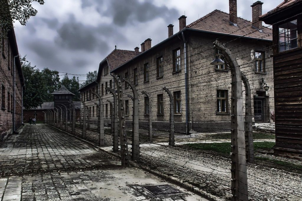 ナチ強制 絶滅収容所 : 18施設内の生と死