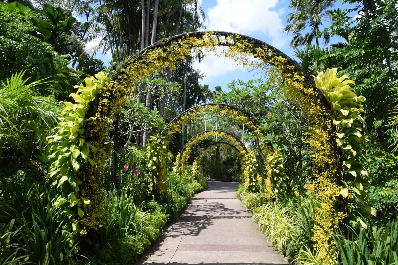 シンガポール植物園 アジア シンガポール 世界遺産ガイド