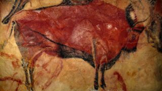 アルタミラ洞窟の壁画