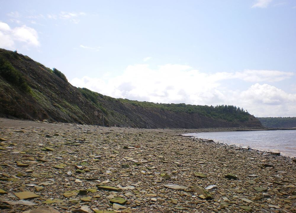 ジョギンズ化石断崖