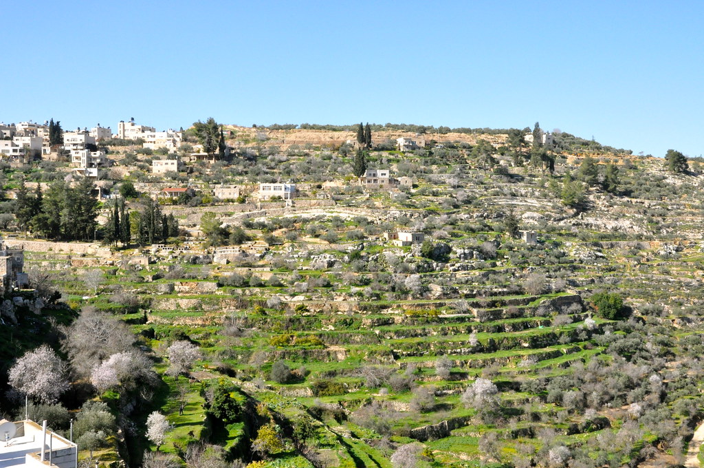パレスチナ：オリーブとワインの地−エルサレム南部バティールの文化的景観