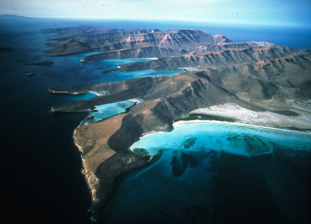 カリフォルニア湾の島々と保護地域群