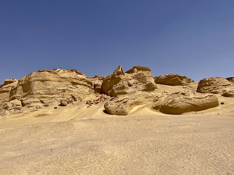 ワディ・エル‐ヒータン(クジラの谷)