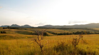 ロペ‐オカンダの生態系と残存する文化的景観