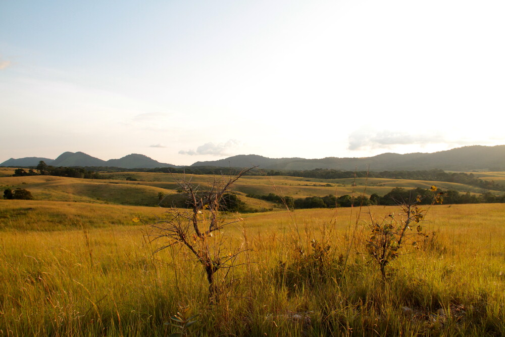 ロペ‐オカンダの生態系と残存する文化的景観