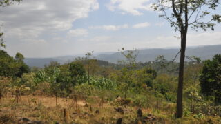 ゲデオの文化的景観