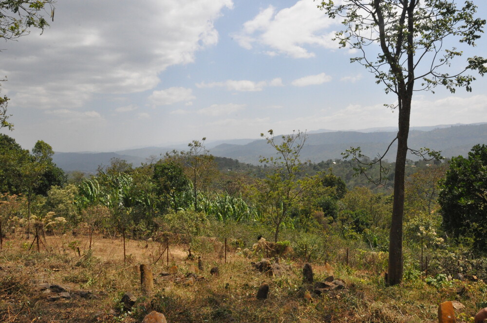 ゲデオの文化的景観