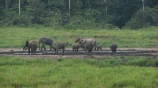 イヴィンド国立公園