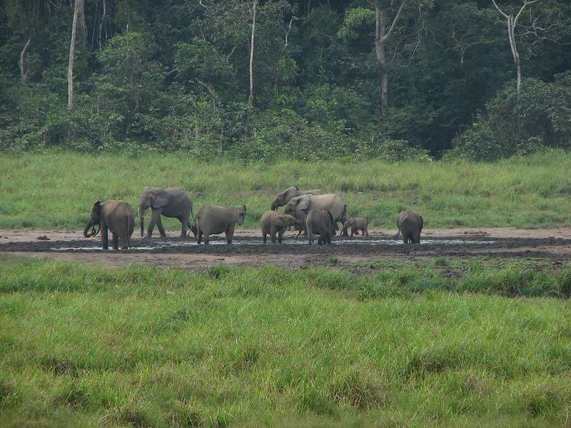 イヴィンド国立公園
