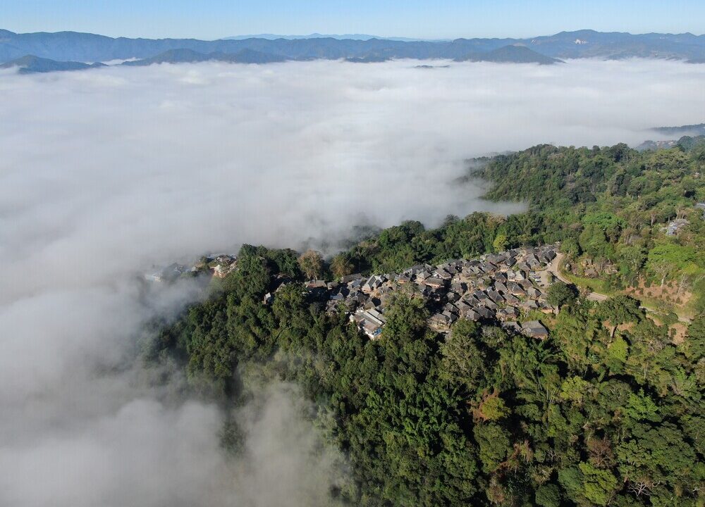 普洱の景邁山古茶林の文化的景観