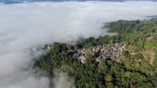 普洱の景邁山古茶林の文化的景観